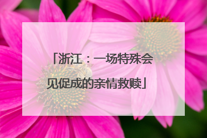 浙江：一场特殊会见促成的亲情救赎