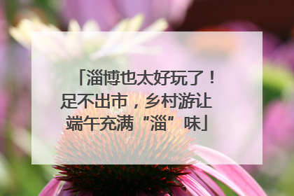 淄博也太好玩了！足不出市，乡村游让端午充满“淄”味