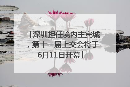 深圳担任境内主宾城，第十一届上交会将于6月11日开幕