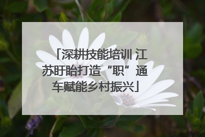 深耕技能培训 江苏盱眙打造“职”通车赋能乡村振兴