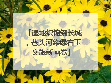 湿地织锦缀长城，苍头河染绿右玉文旅新画卷