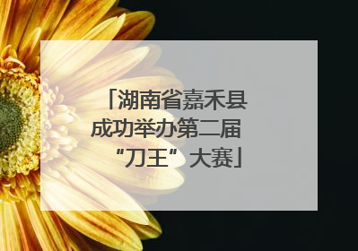 湖南省嘉禾县成功举办第二届“刀王”大赛
