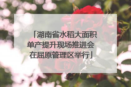 湖南省水稻大面积单产提升现场推进会在屈原管理区举行