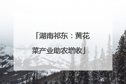 湖南祁东：黄花菜产业助农增收