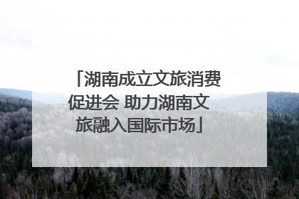 湖南成立文旅消费促进会 助力湖南文旅融入国际市场
