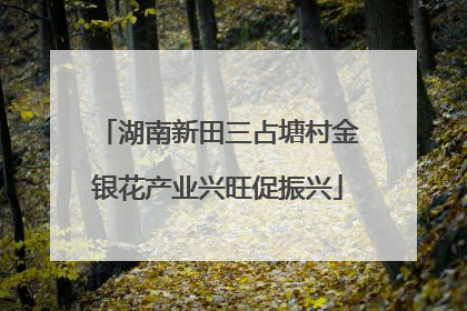 湖南新田三占塘村金银花产业兴旺促振兴