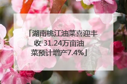 湖南桃江油菜喜迎丰收 31.24万亩油菜预计增产7.4%