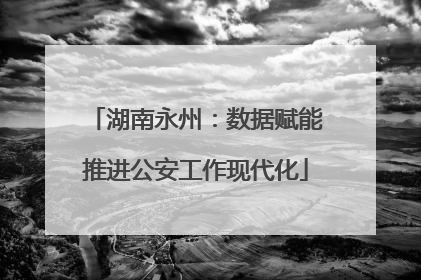 湖南永州：数据赋能推进公安工作现代化