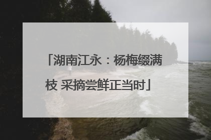 湖南江永：杨梅缀满枝 采摘尝鲜正当时