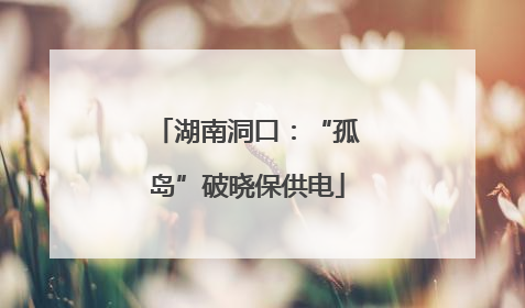 湖南洞口：“孤岛”破晓保供电