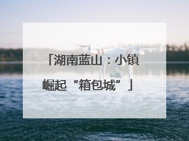 湖南蓝山：小镇崛起“箱包城”
