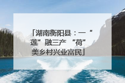 湖南衡阳县：一“莲”融三产 “荷”美乡村兴业富民
