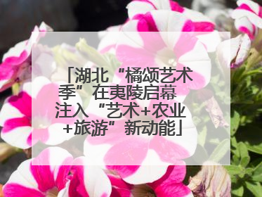 湖北“橘颂艺术季”在夷陵启幕 注入“艺术+农业+旅游”新动能