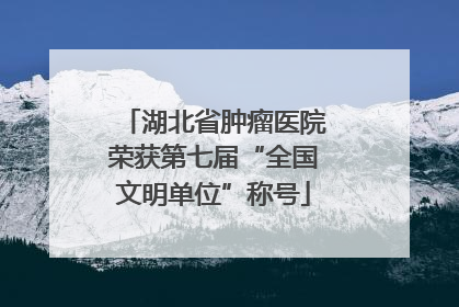 湖北省肿瘤医院荣获第七届“全国文明单位”称号