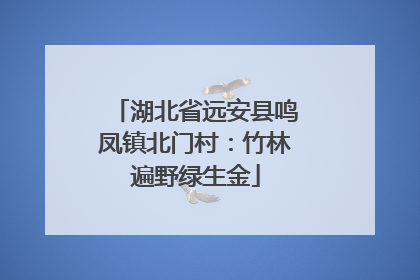 湖北省远安县鸣凤镇北门村：竹林遍野绿生金