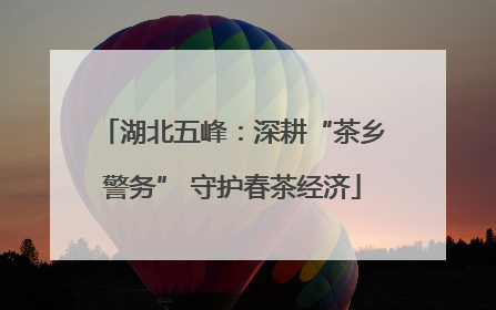 湖北五峰：深耕“茶乡警务” 守护春茶经济