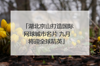 湖北京山打造国际网球城市名片 九月将迎全球精英