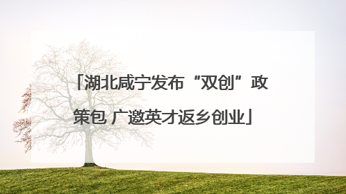 湖北咸宁发布“双创”政策包 广邀英才返乡创业