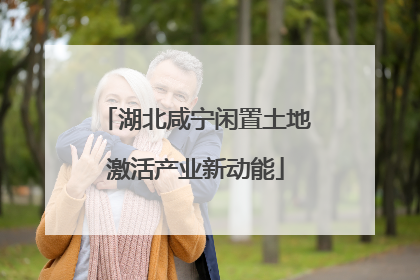 湖北咸宁闲置土地激活产业新动能