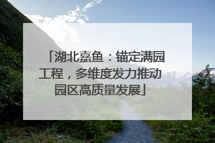 湖北嘉鱼：锚定满园工程，多维度发力推动园区高质量发展