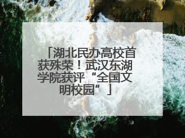 湖北民办高校首获殊荣！武汉东湖学院获评“全国文明校园”