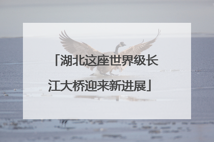 湖北这座世界级长江大桥迎来新进展