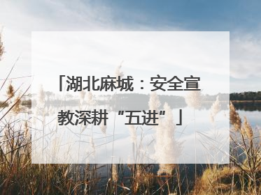 湖北麻城：安全宣教深耕“五进”