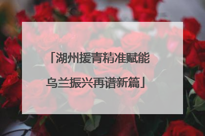 湖州援青精准赋能 乌兰振兴再谱新篇