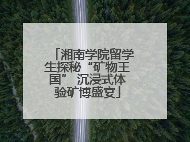 湘南学院留学生探秘“矿物王国” 沉浸式体验矿博盛宴