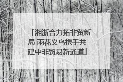湘浙合力拓非贸新局 雨花义乌携手共建中非贸易新通道