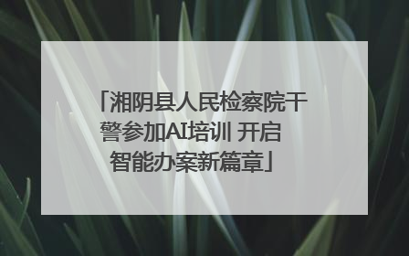 湘阴县人民检察院干警参加AI培训 开启智能办案新篇章