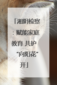 湘阴检察：赋能家庭教育 共护“向阳花”开