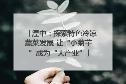 湟中：探索特色冷凉蔬菜发展 让“小菊芋”成为“大产业”