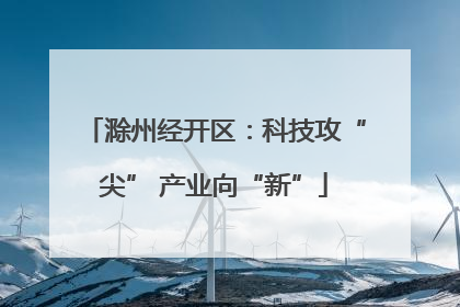滁州经开区：科技攻“尖” 产业向“新”