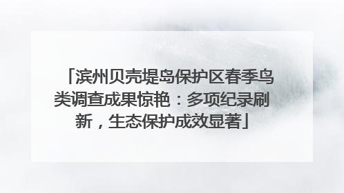 滨州贝壳堤岛保护区春季鸟类调查成果惊艳：多项纪录刷新，生态保护成效显著