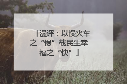 漫评：以慢火车之“慢”载民生幸福之“快”