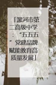 漯河市第二高级中学：“五五五”党建品牌赋能教育高质量发展