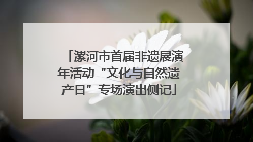 漯河市首届非遗展演年活动“文化与自然遗产日”专场演出侧记