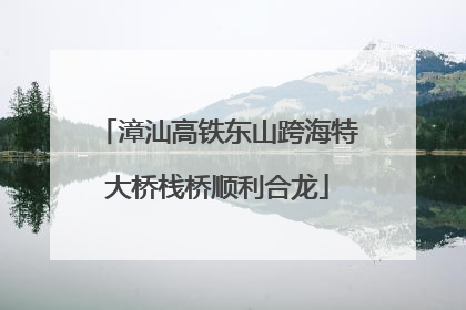 漳汕高铁东山跨海特大桥栈桥顺利合龙