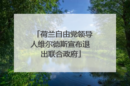 荷兰自由党领导人维尔德斯宣布退出联合政府