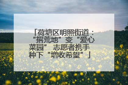 荷塘区明照街道：“撂荒地”变“爱心菜园” 志愿者携手种下“增收希望”