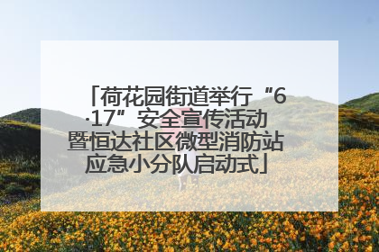 荷花园街道举行“6·17”安全宣传活动暨恒达社区微型消防站应急小分队启动式