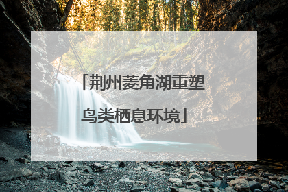 荆州菱角湖重塑鸟类栖息环境