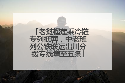 老挝榴莲乘冷链专列抵蓉，中老班列公铁联运出川分拨专线增至五条