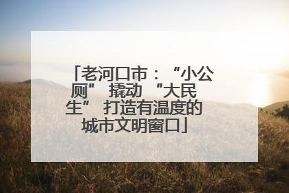 老河口市：“小公厕” 撬动 “大民生” 打造有温度的城市文明窗口