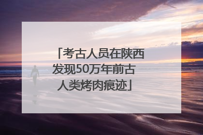 考古人员在陕西发现50万年前古人类烤肉痕迹