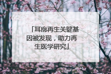 耳廓再生关键基因被发现，助力再生医学研究