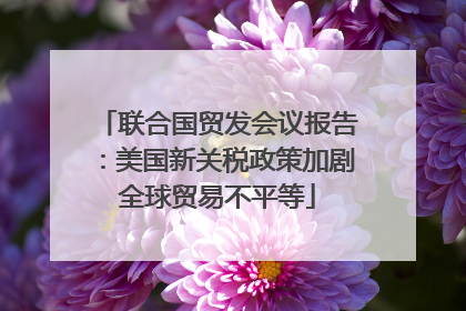 联合国贸发会议报告：美国新关税政策加剧全球贸易不平等
