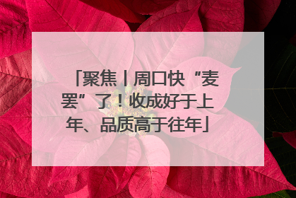 聚焦丨周口快“麦罢”了！收成好于上年、品质高于往年