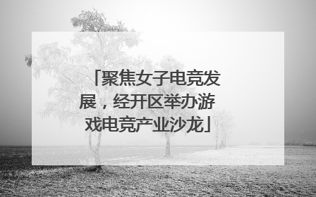 聚焦女子电竞发展，经开区举办游戏电竞产业沙龙